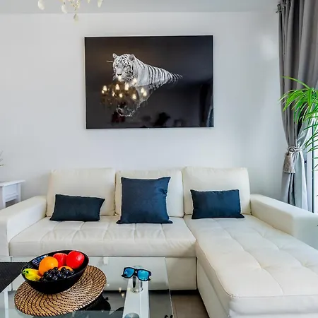 Apartment 16a Silver Garden Ocean View Costa Adeje (Tenerife)